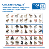 MS0102_3_Модуль__Животные_России_3