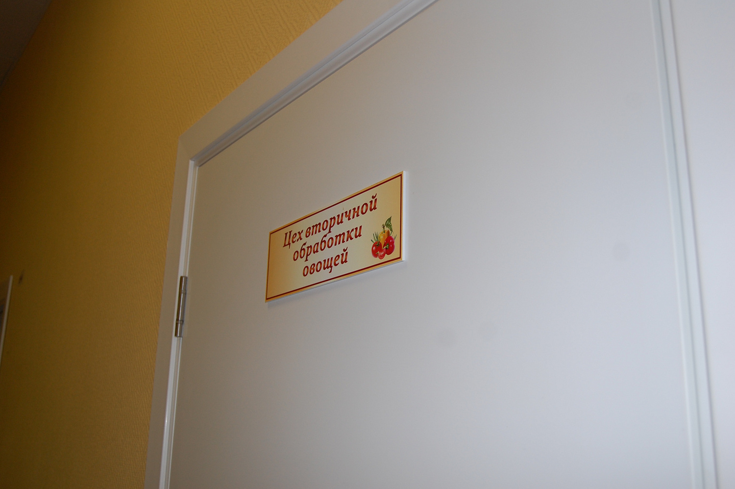 Оснащение школы No 10, г. Реутов