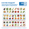 MS0102_2_Модуль__Овощи__фрукты__ягоды_России_3