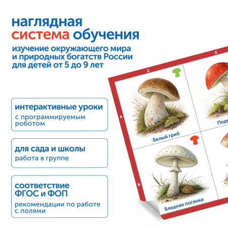 MS0102_1_Модуль__Деревья__цветы__грибы_России_2