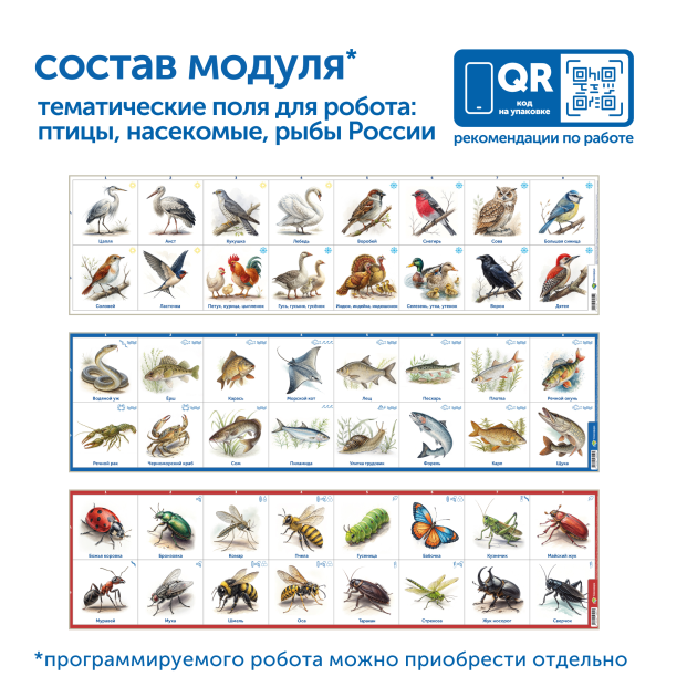 MS0102_4_Модуль__Птицы__рыбы__насекомые_России_3