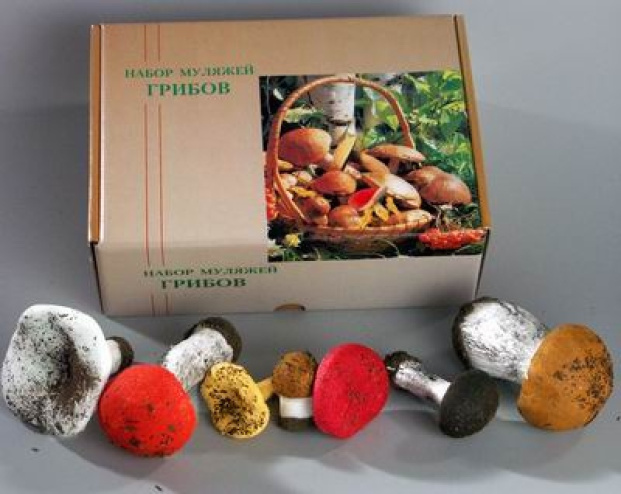 356af421f9c82d893bae45d461590410