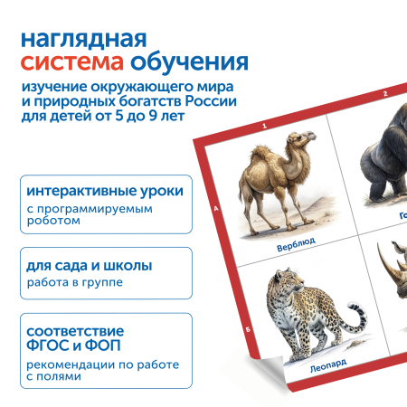 MS0102_3_Модуль__Животные_России_2