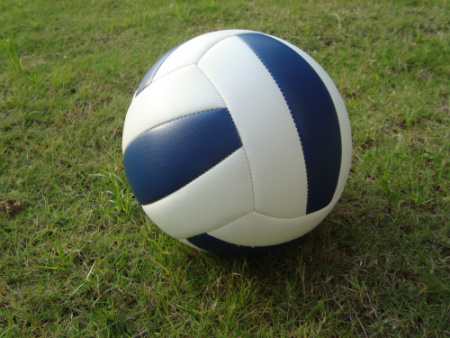 bell volleyball 2