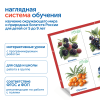 MS0102_2_Модуль__Овощи__фрукты__ягоды_России_2