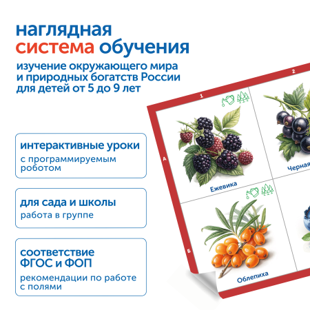 MS0102_2_Модуль__Овощи__фрукты__ягоды_России_2