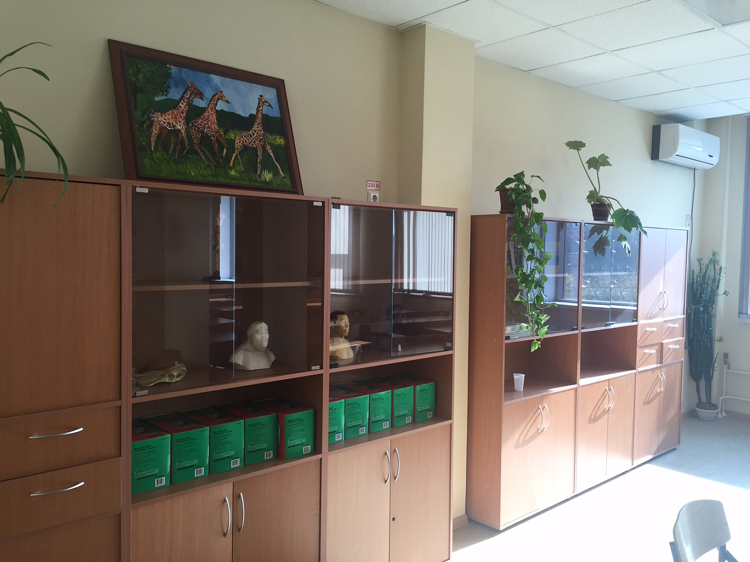 Оснащение Красносельской школы