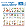 MS0102_1_Модуль__Деревья__цветы__грибы_России_3