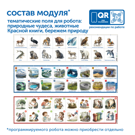 MS0102_5_Модуль__Бережем_природу_России_3