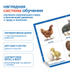 модули__30_