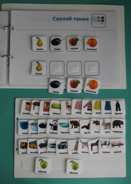 Диагностическое_пособие__8__планик