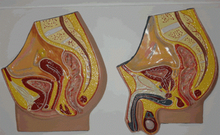 f04bc955ac5739e1e9e612a5363d2215