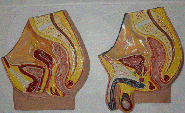 f04bc955ac5739e1e9e612a5363d2215