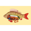ge-catalog-modelibarelefnyeb-10571-700x700